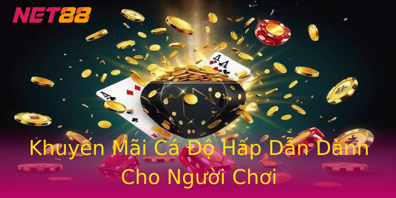 Khuyến Mãi Cá Độ Hấp Dẫn Dành Cho Người Chơi Khuyến Mãi Cá Độ Hấp Dẫn Dành Cho Người Chơi