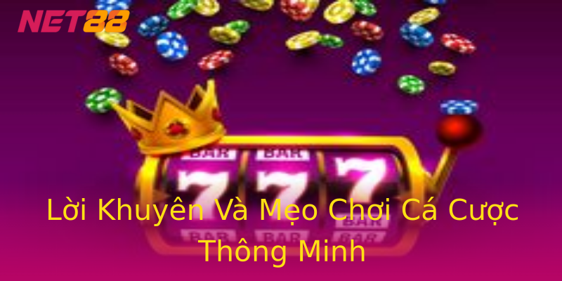 Lời Khuyên Và Mẹo Chơi Cá Cược Thông Minh Lời Khuyên Và Mẹo Chơi Cá Cược Thông Minh